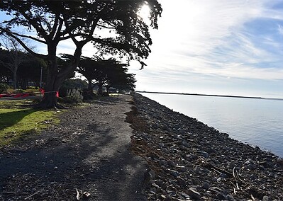 Harbor Bay Trail Emergency Project
