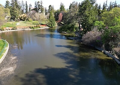 UC Davis Arboretum